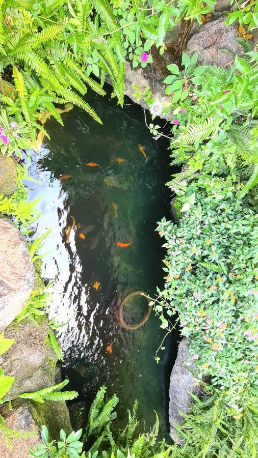An Nhien Villa Bảo Lộc Eksteriør billede